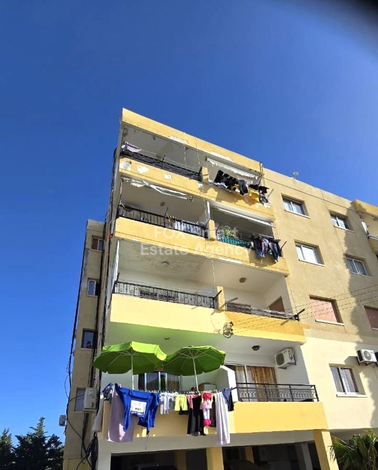 Thumbnail 9 Proprietà 2958 Mansoura, Nicosia / LIM-PAF-32171