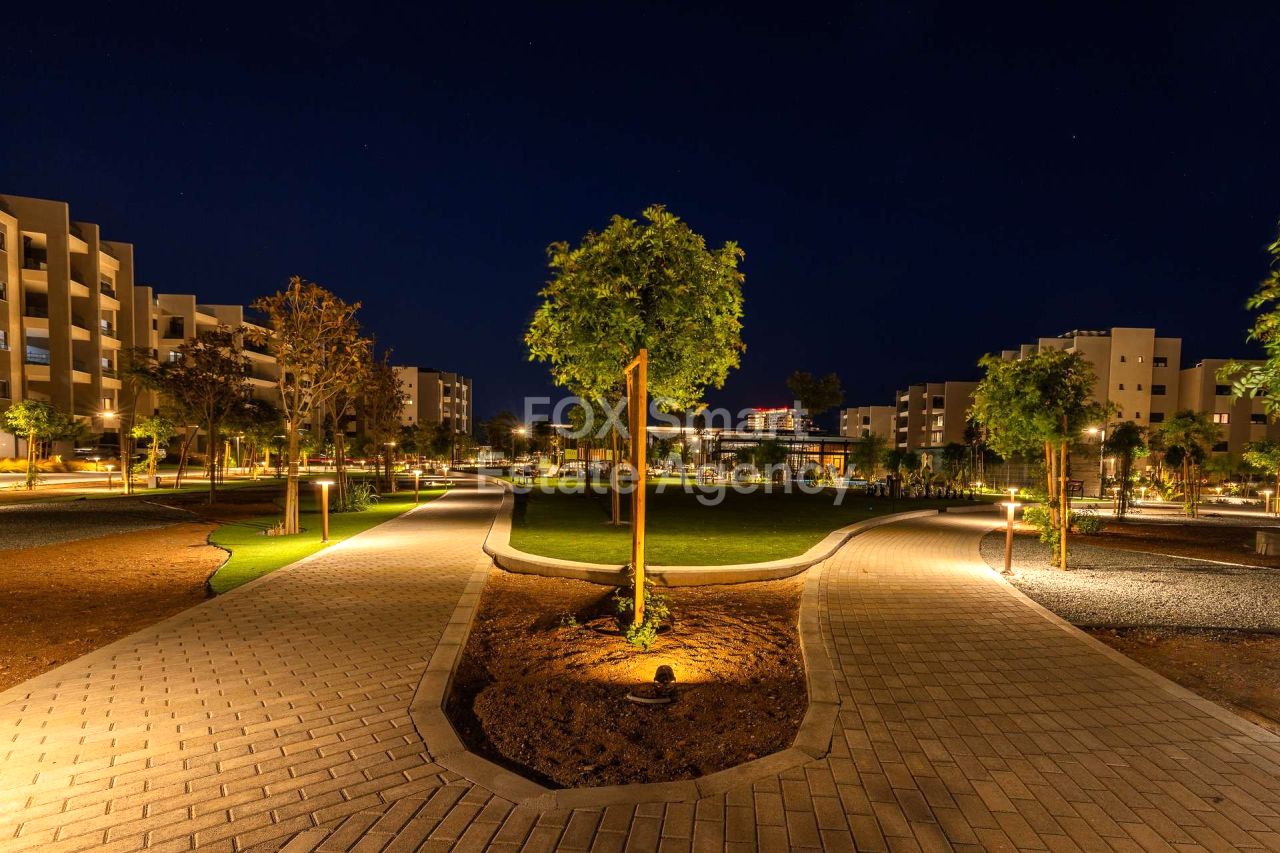 Thumbnail 49 Propiedad 2958 Mansoura, Nicosia / LIM-PAF-32677