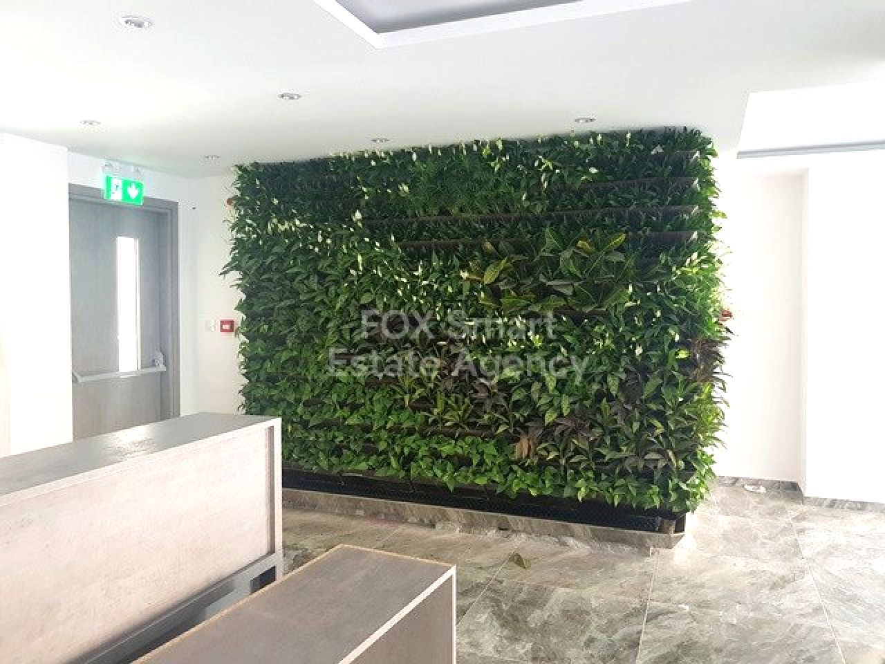 Thumbnail 20 Propiedad 2958 Mansoura, Nicosia / LIM-PAF-32936