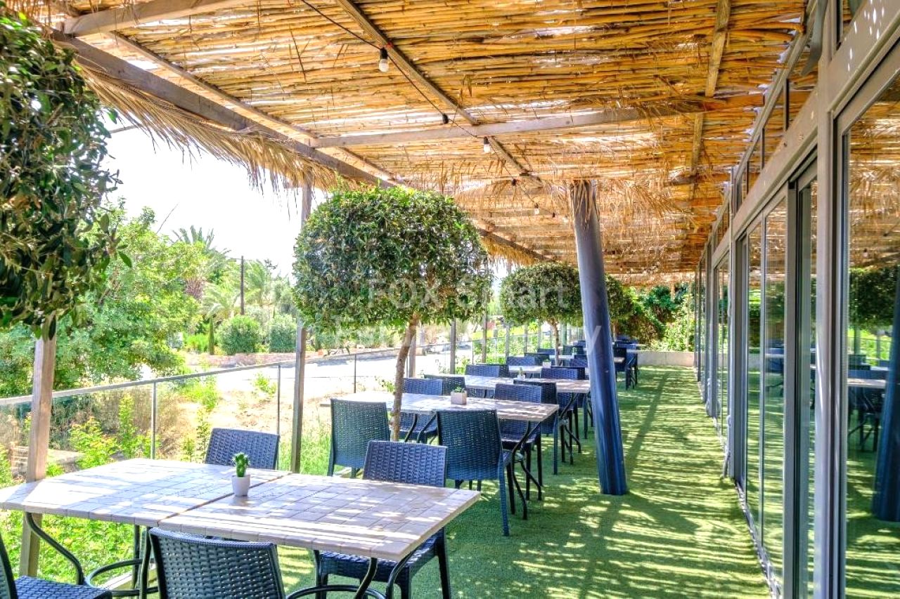 Thumbnail 16 Недвижимость 2958 Мансура, Никосия / LIM-PAF-33456