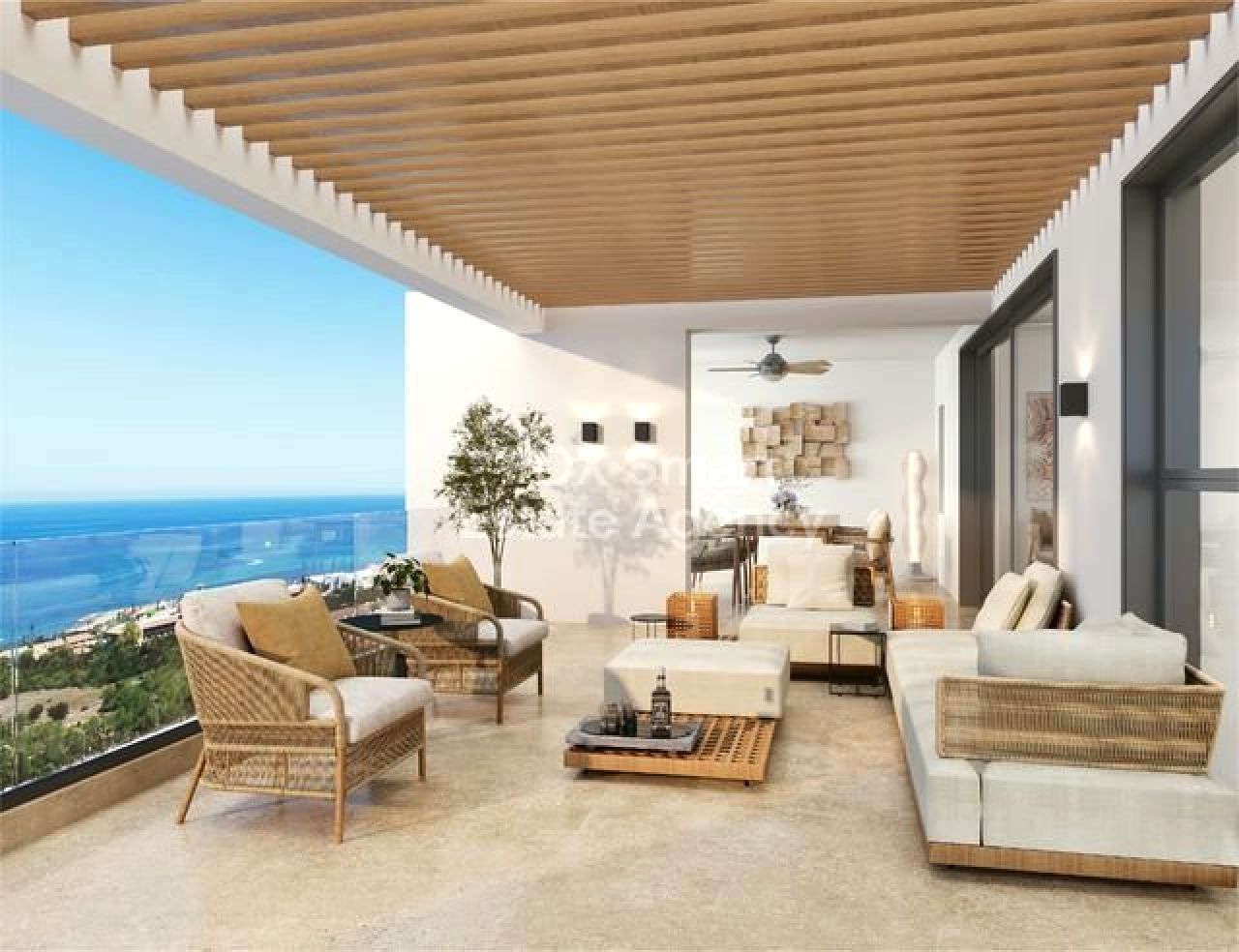 Thumbnail 17 Property 8049 Paphos / LIM-PAF-30256