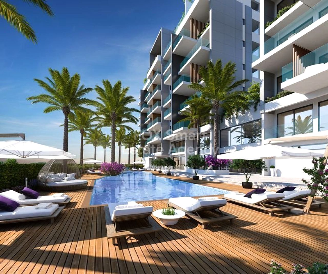 Thumbnail 6 Property 8049 Paphos / LIM-PAF-30256