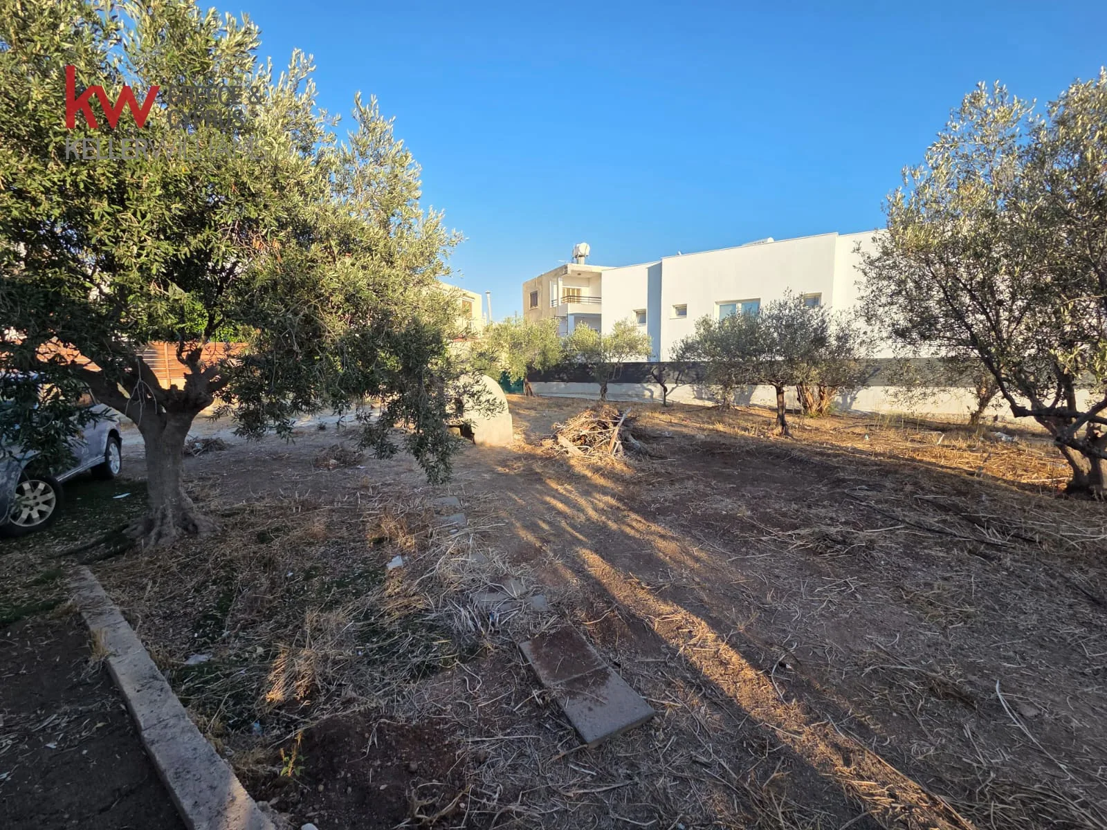 נכס MD-0036-5 פאפוס, פאפוס 14