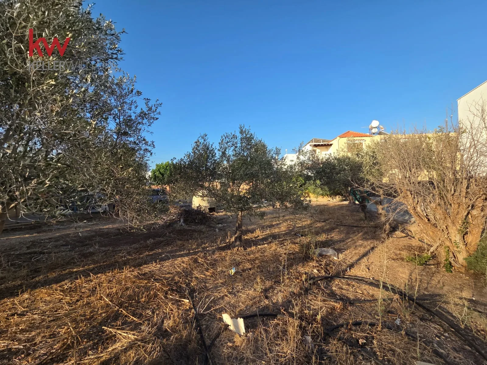 נכס MD-0036-5 פאפוס, פאפוס 15
