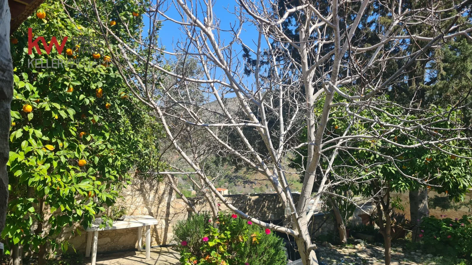 Nieruchomość SL-0045-5 Episkopi, Pafos 15