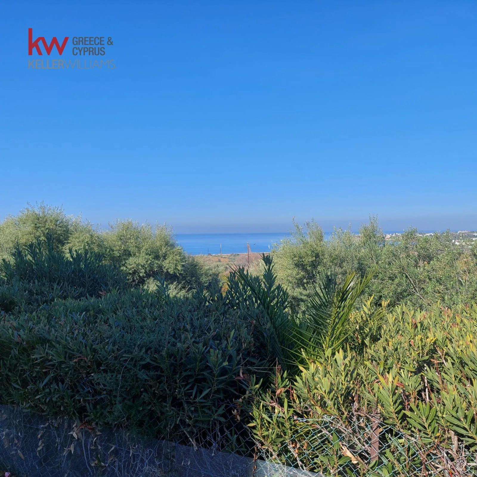 Property 61489 Kissonerga, Paphos / TC-0006-5