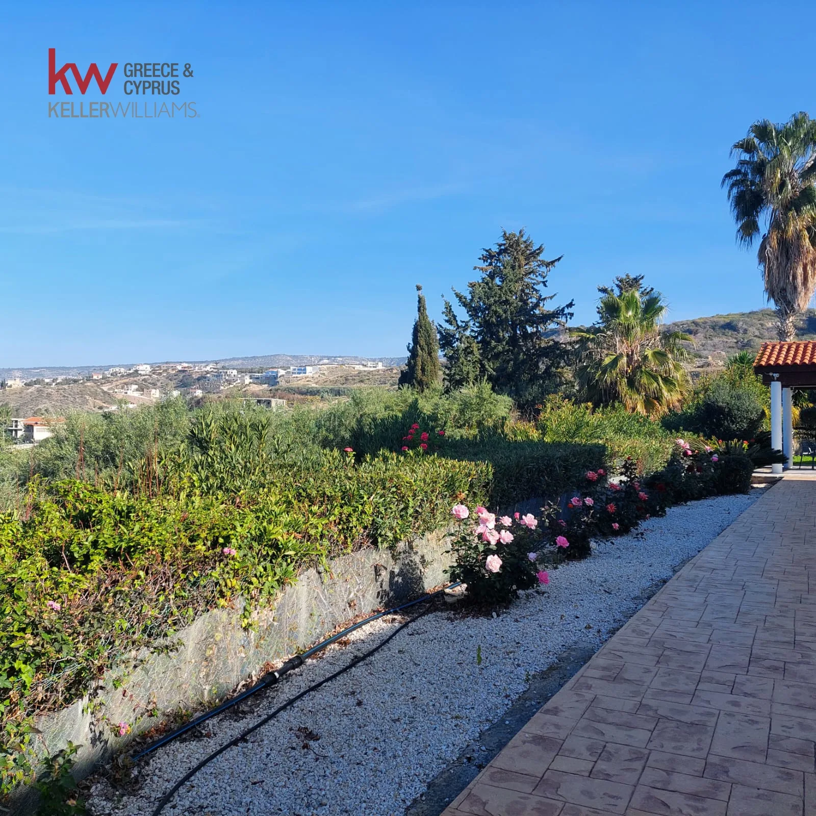 Property 61489 Kissonerga, Paphos / TC-0006-5