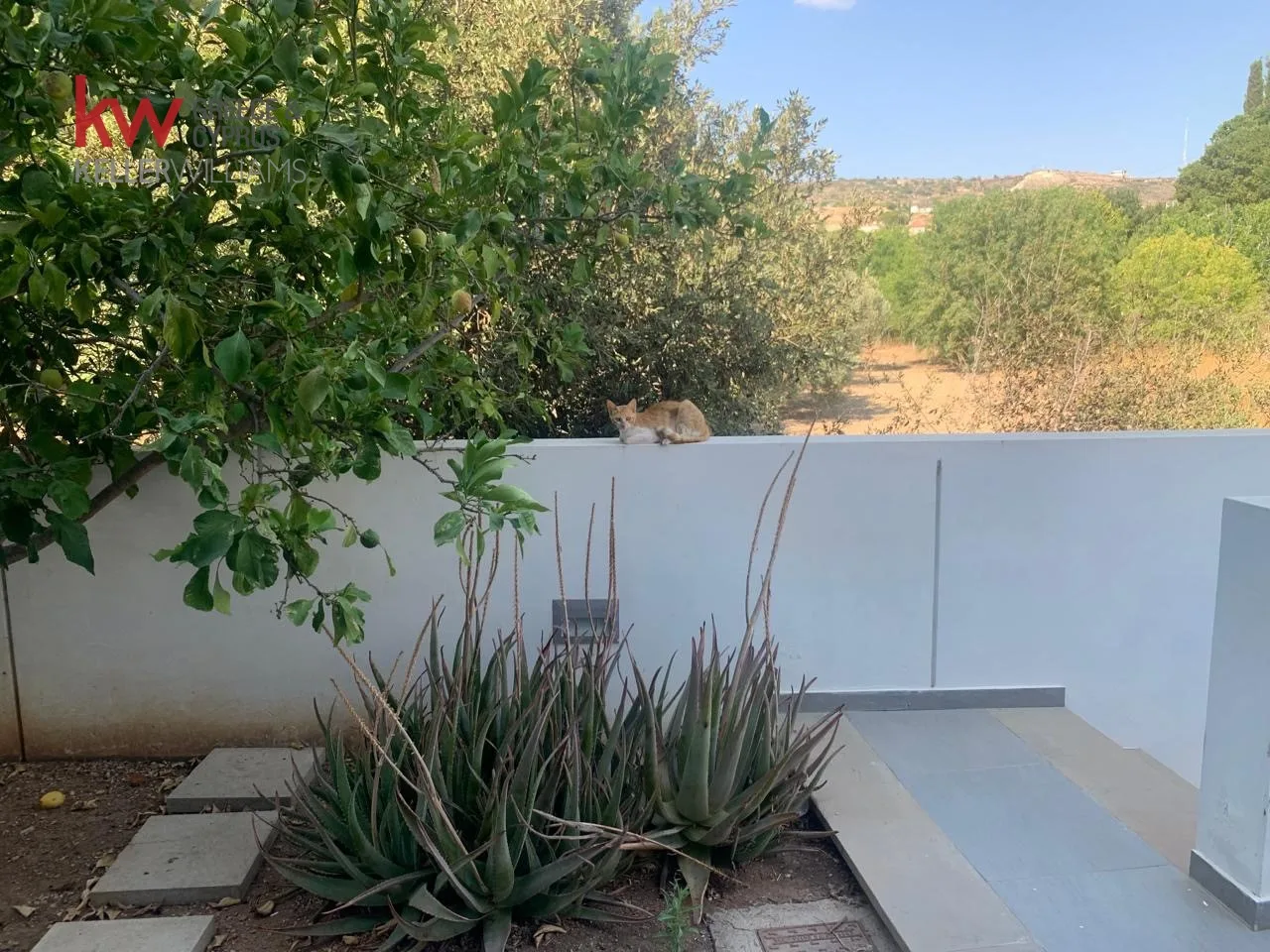 Property CR-0008-5 Konia, Paphos 22