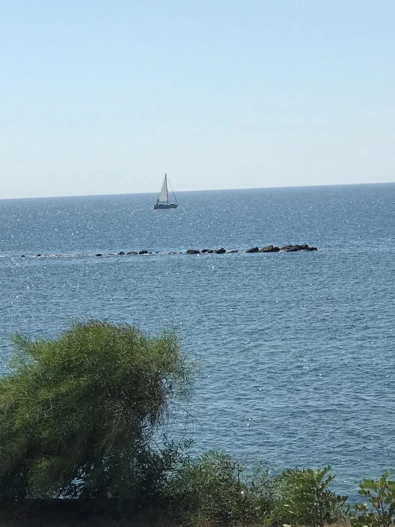 Bien immobilier 950044 Psematismenos, Larnaca 18