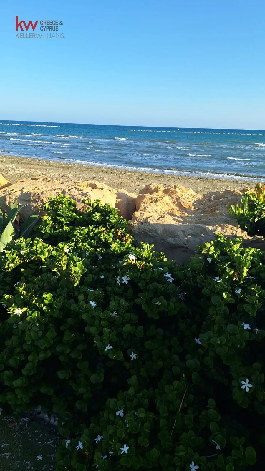 Immobilie 1629937 Softades, Larnaka 23