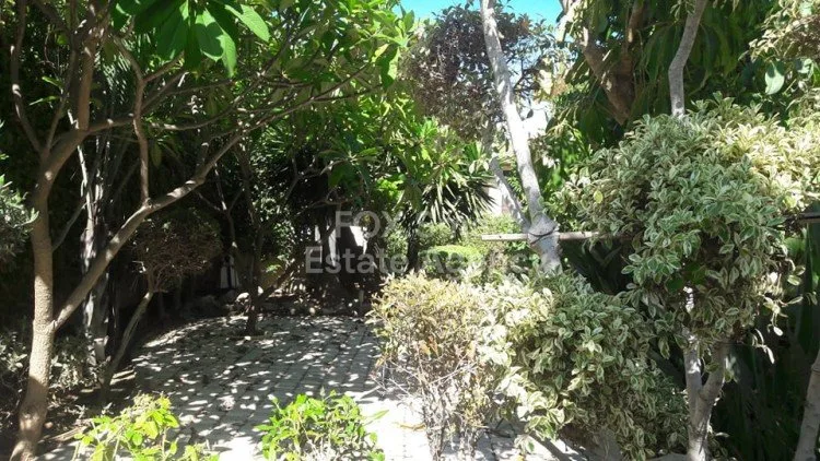 Ακίνητο 16246 Ορόκλινη, Λάρνακα / H-101662 20