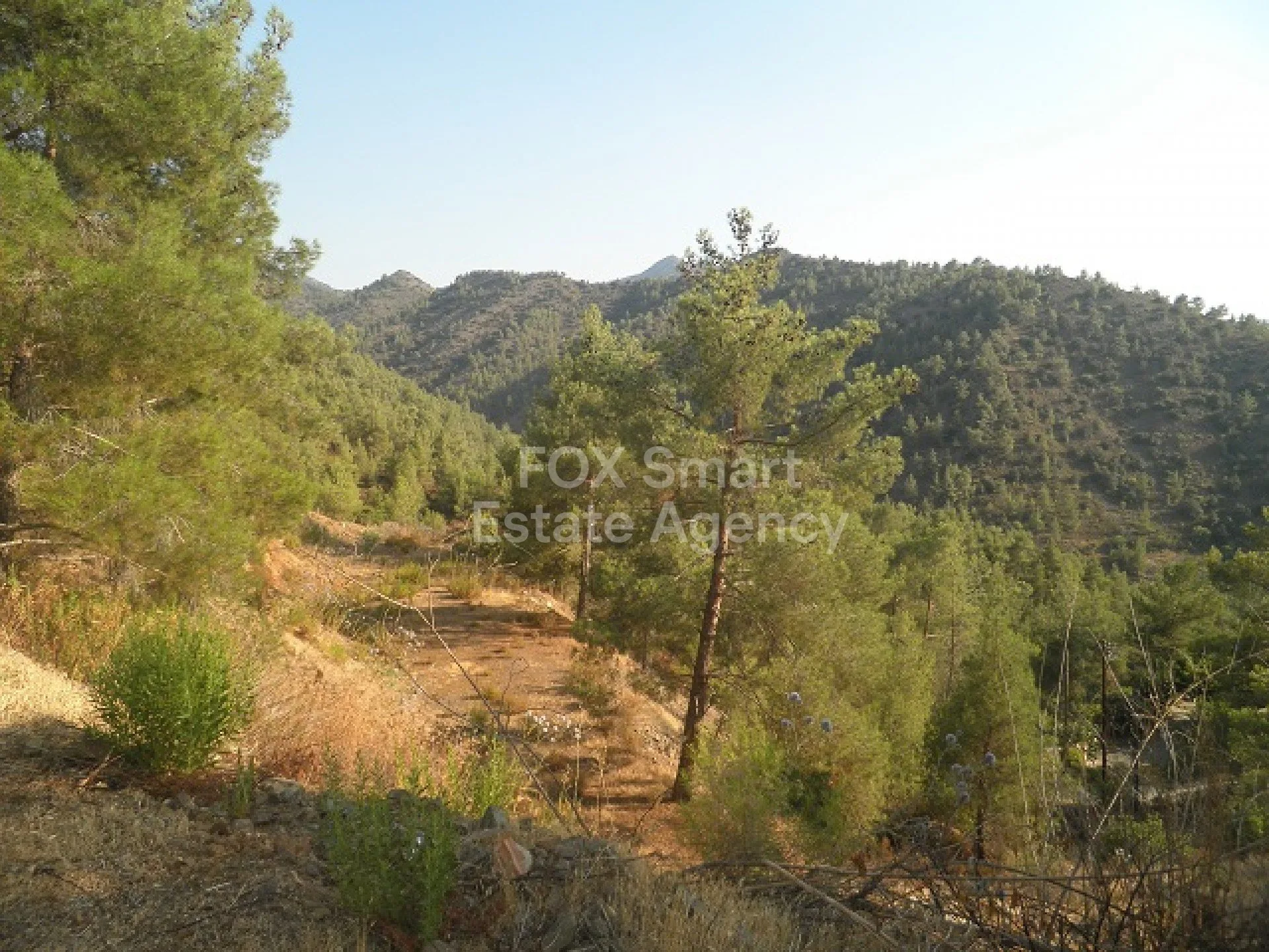 Ακίνητο 7627 Γούρρη, Λευκωσία / H-119547 13