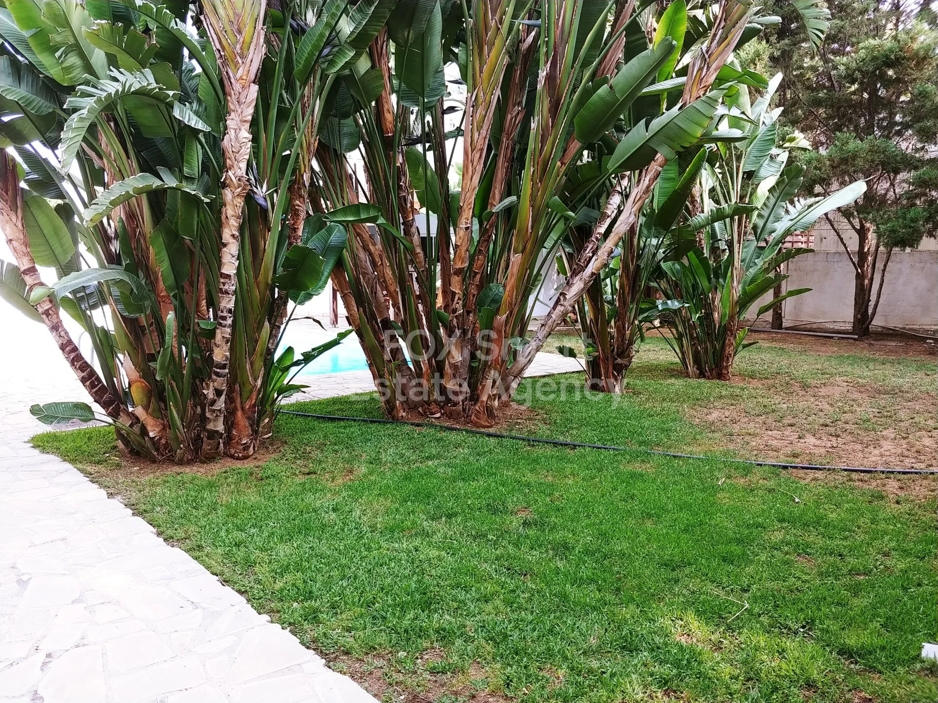 Propiedad 14288 Lakatamia, Nicosia / H-124782