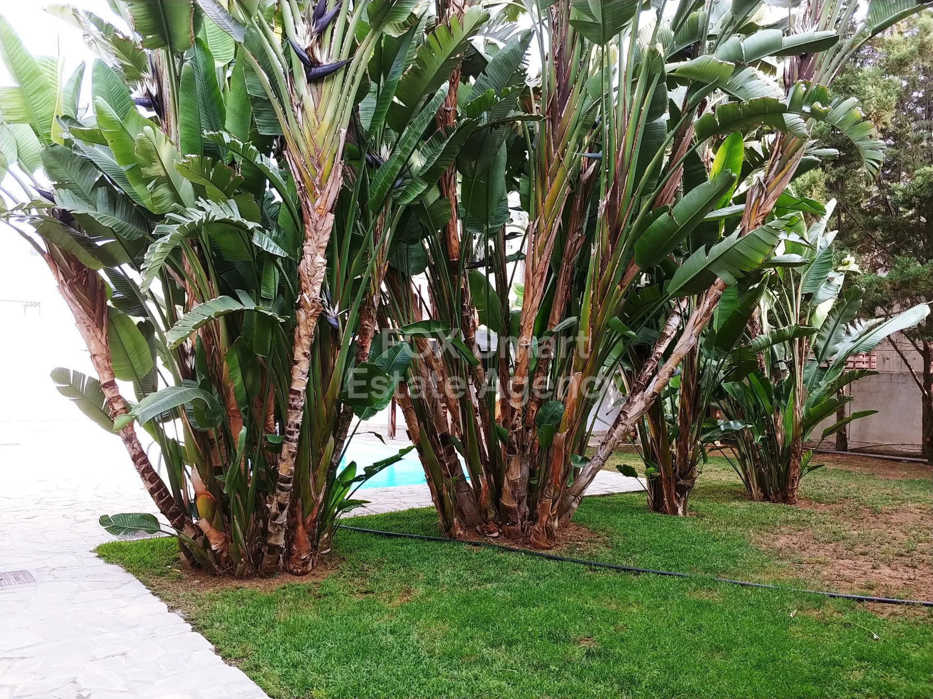 Propiedad 14288 Lakatamia, Nicosia / H-124782
