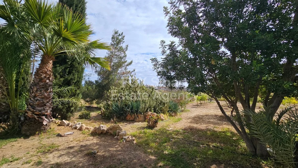 Propiedad H-62855 Trimithias Agioi, Nicosia 43