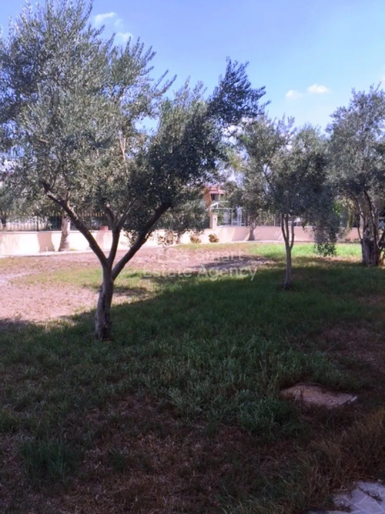 Property 13502 Lakatamia, Nicosia / H-67534 31