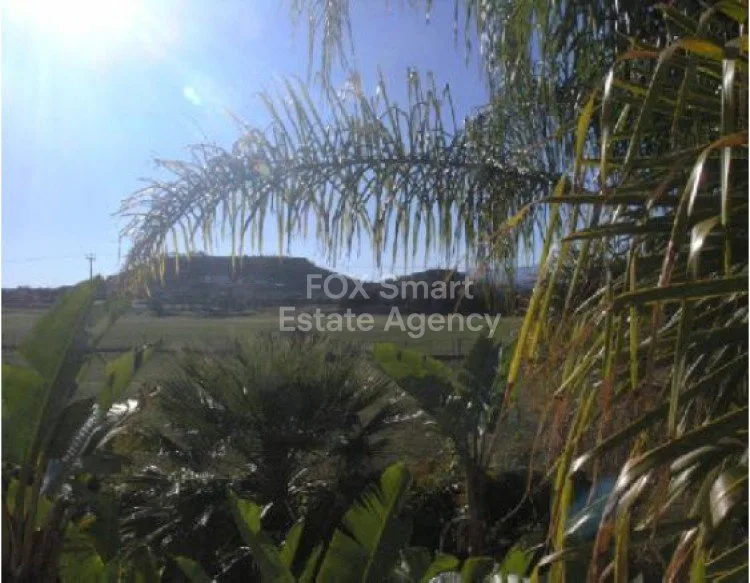 Bien immobilier 15801 Pera, Nicosie / H-69966 13