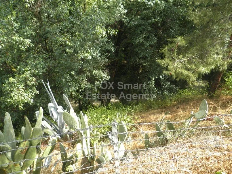 Immobilie 5709 Palaichori Oreinis, Nikosia / H-95160 18
