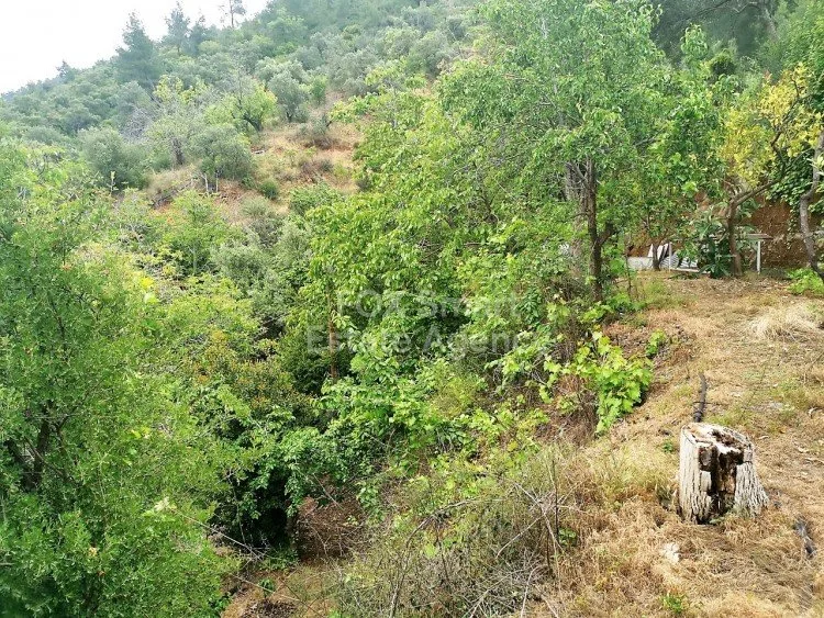 Bien immobilier 5855 Kalopanagiotis, Nicosie / H-99161 14