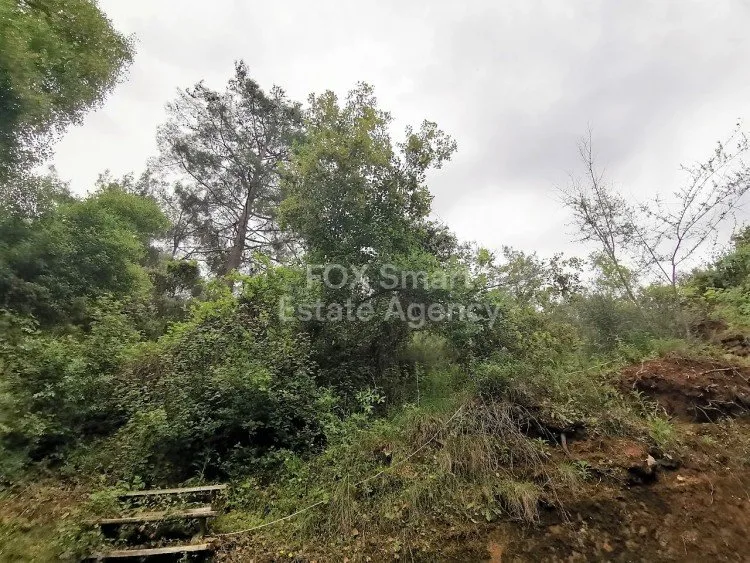 Propiedad 5855 Kalopanagiotis, Nicosia / H-99161 17