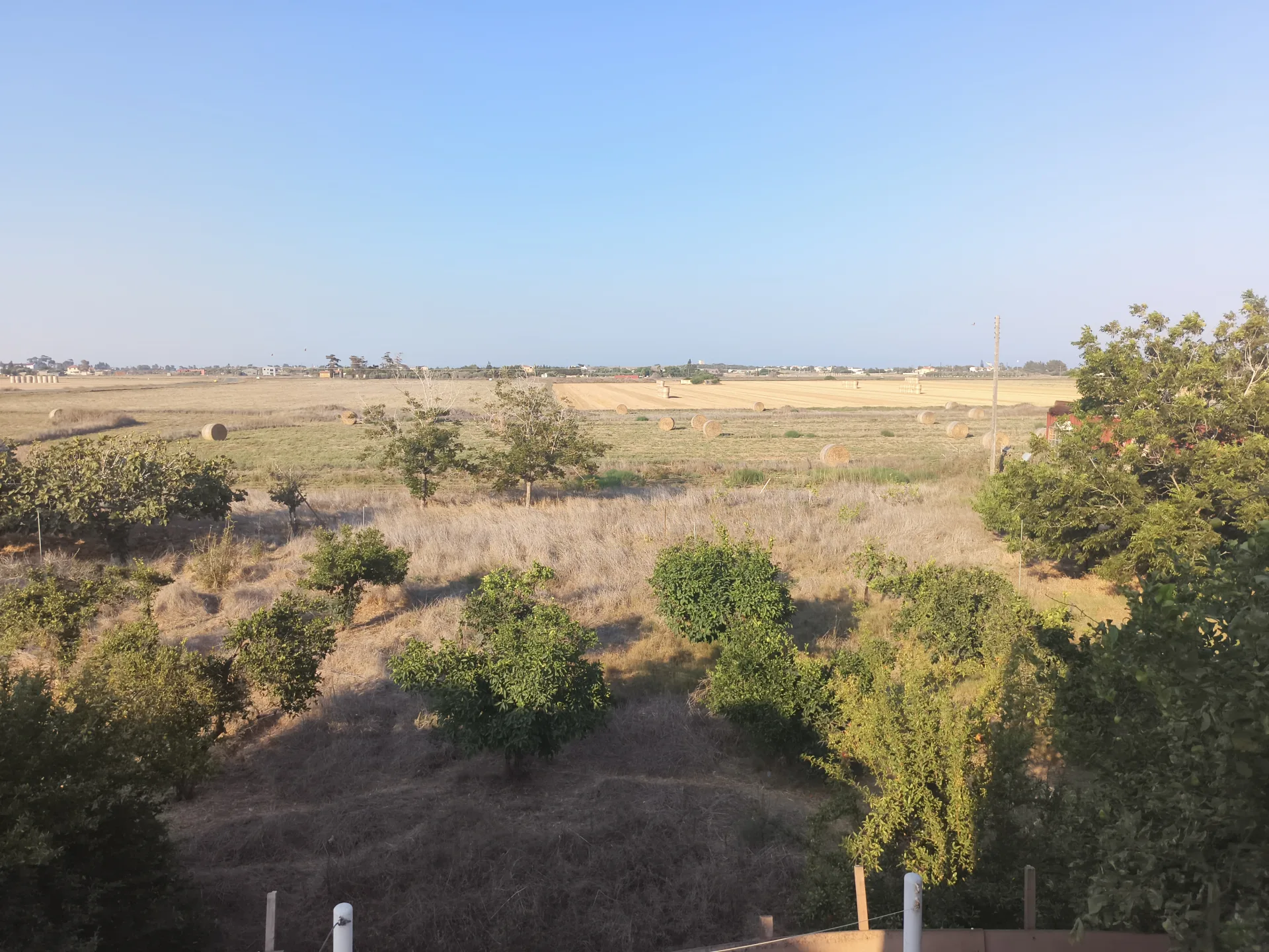 Immobile 3000624 Larnaca, Larnaca 21