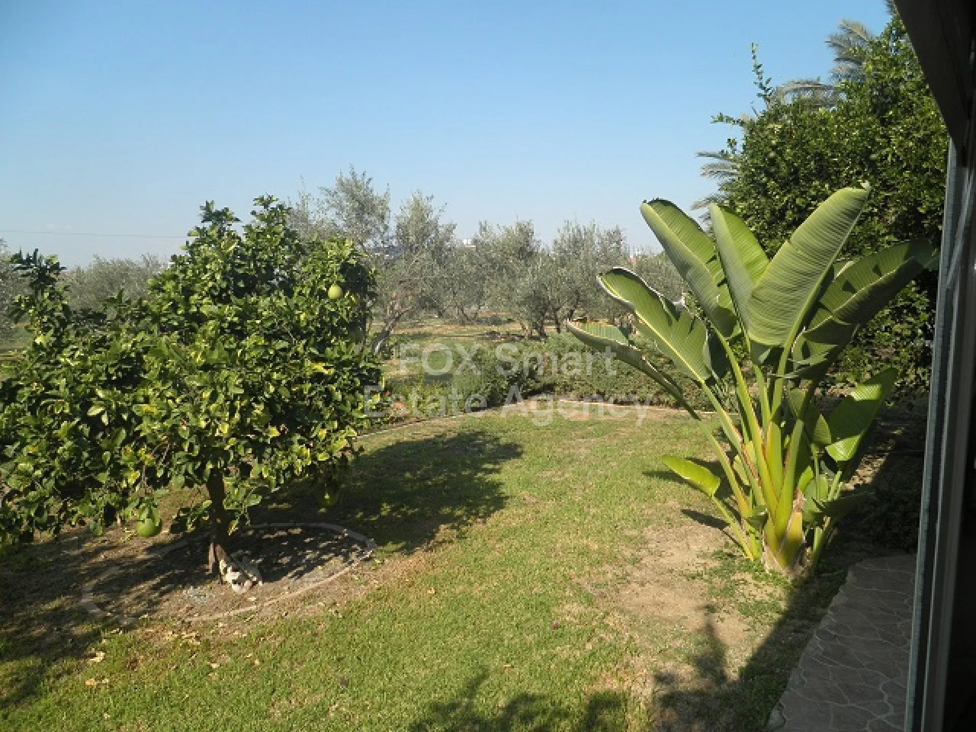 נכס 14056 לקאטמיה, ניקוסיה / HR-120955 27