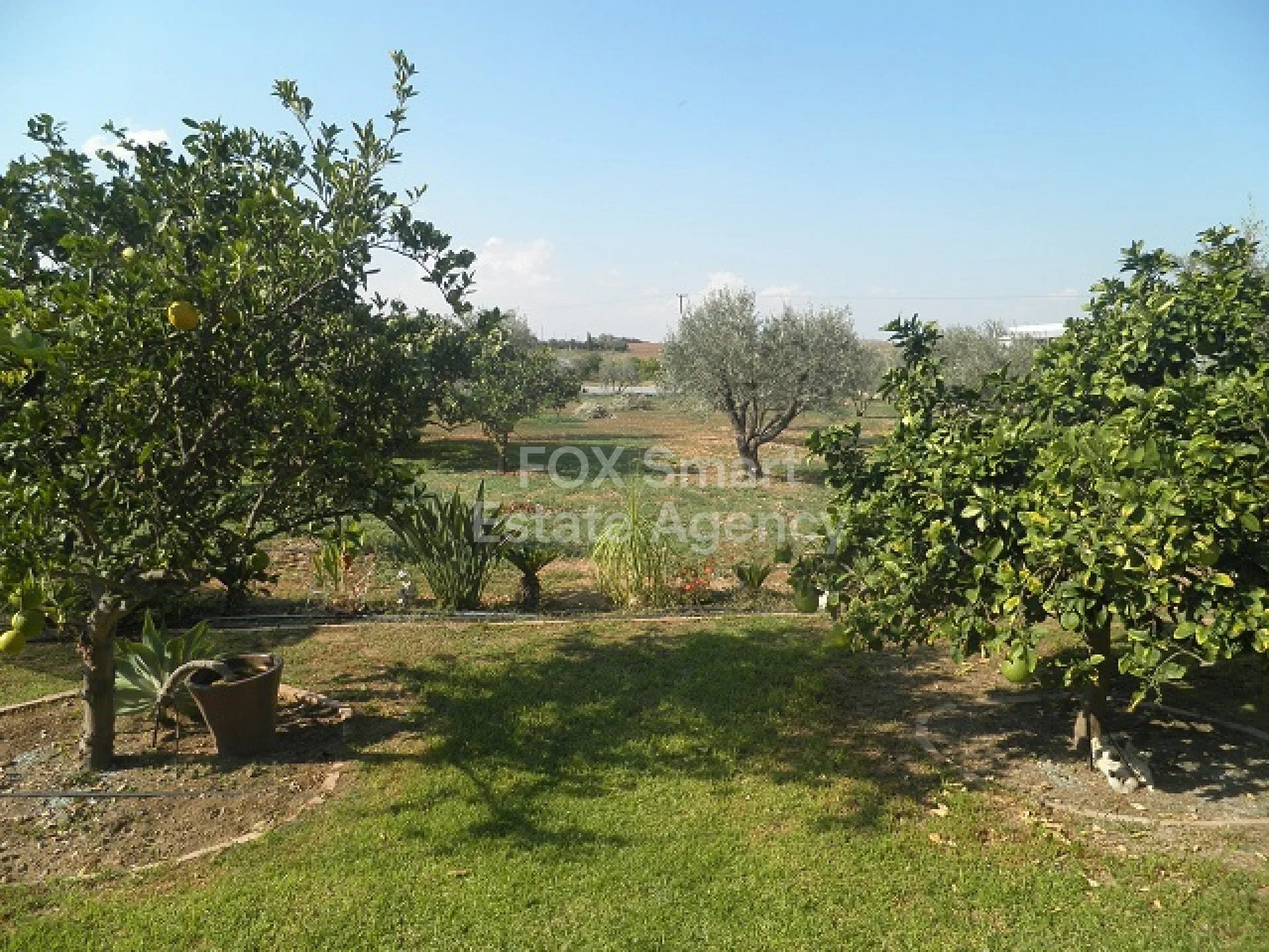 נכס 14056 לקאטמיה, ניקוסיה / HR-120955 28
