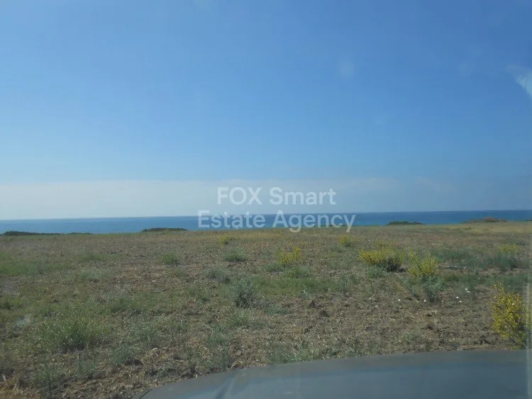 Immobilie 10785 Mazotos, Larnaka / L-104882 14