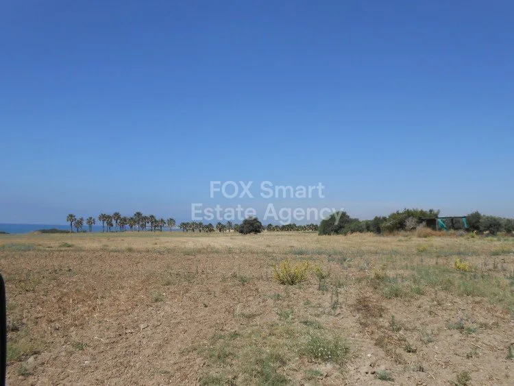 Immobilie 10785 Mazotos, Larnaka / L-104882 15