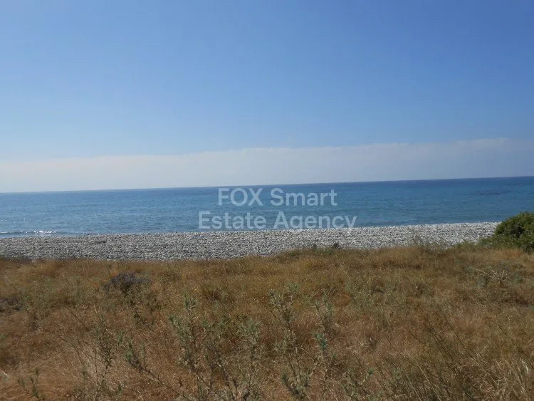 Immobilie 10785 Mazotos, Larnaka / L-104882 16