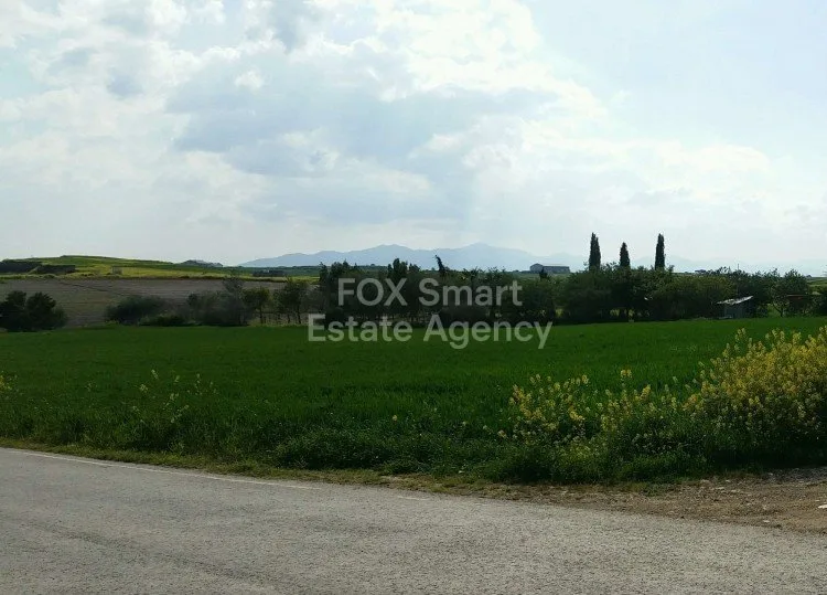 Ακίνητο 10843 Λατσιά, Λευκωσία / L-105717