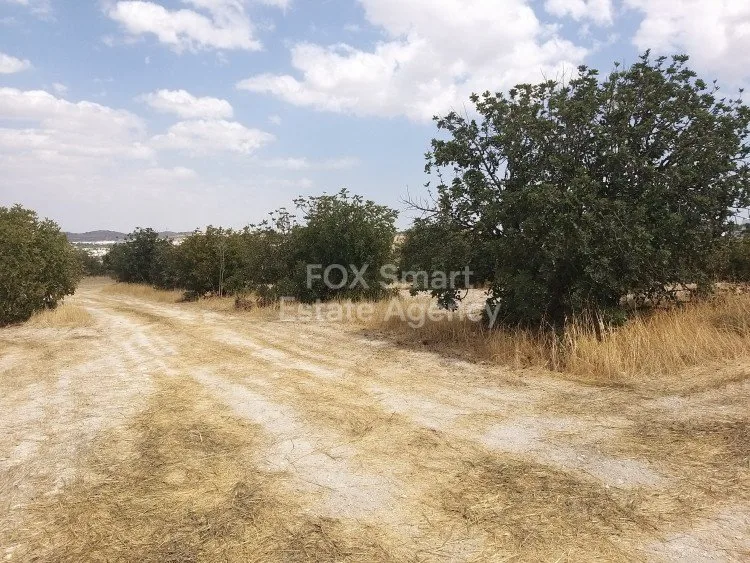 Propiedad 11330 Alampra, Nicosia / L-113332