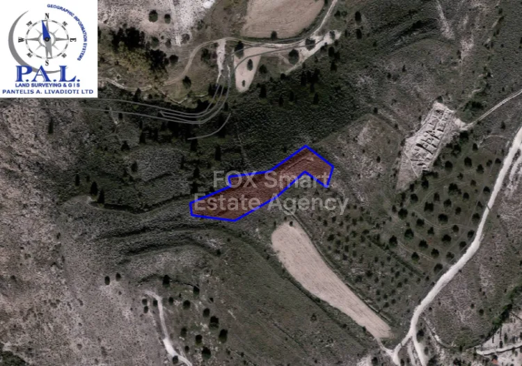 Propiedad 12143 Alampra, Nicosia / L-113496