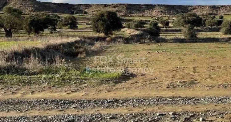 Ακίνητο 12262 Τσέρι, Λευκωσία / L-115165