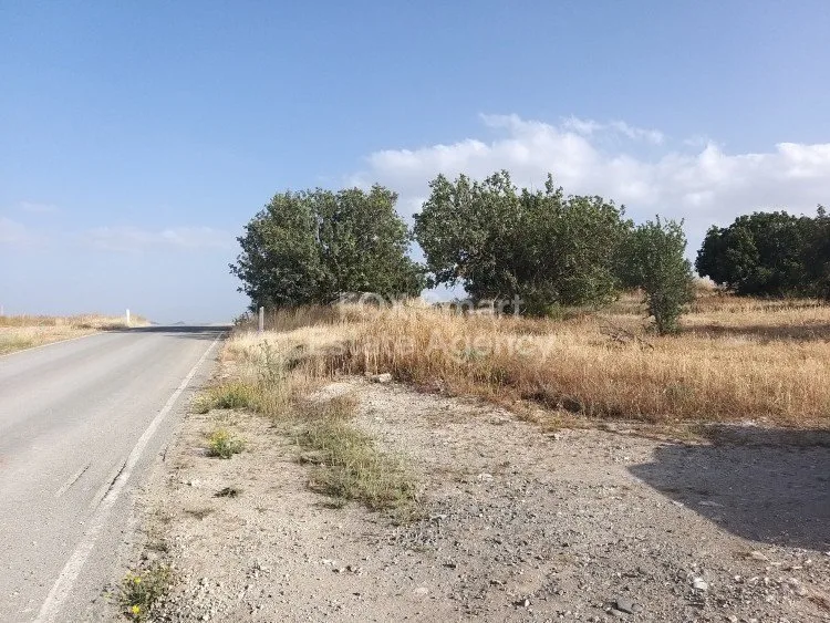 Ακίνητο 12519 Αλάμπρα, Λευκωσία / L-117746