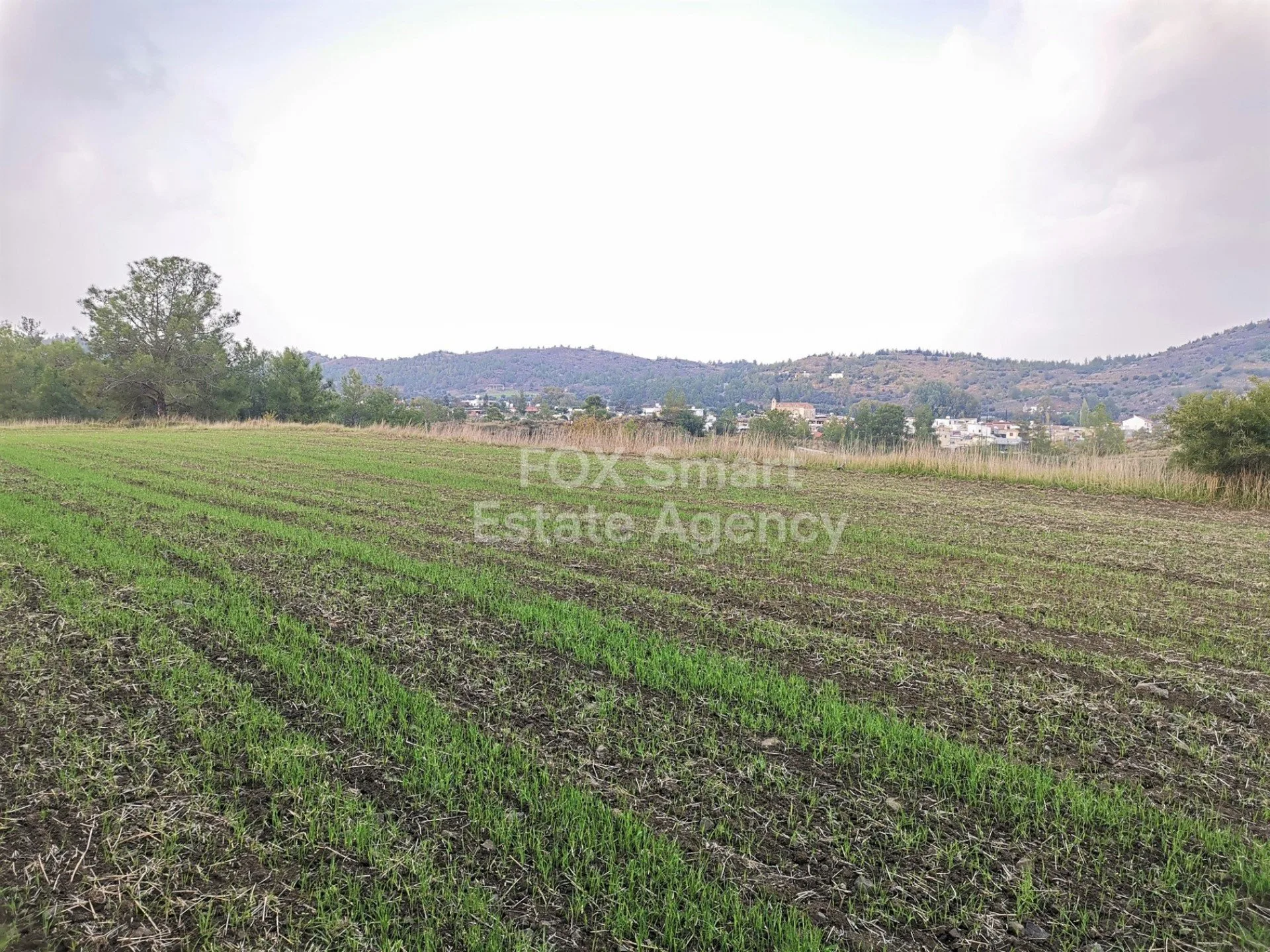 נכס 12534 סיה, ניקוסיה / L-117979