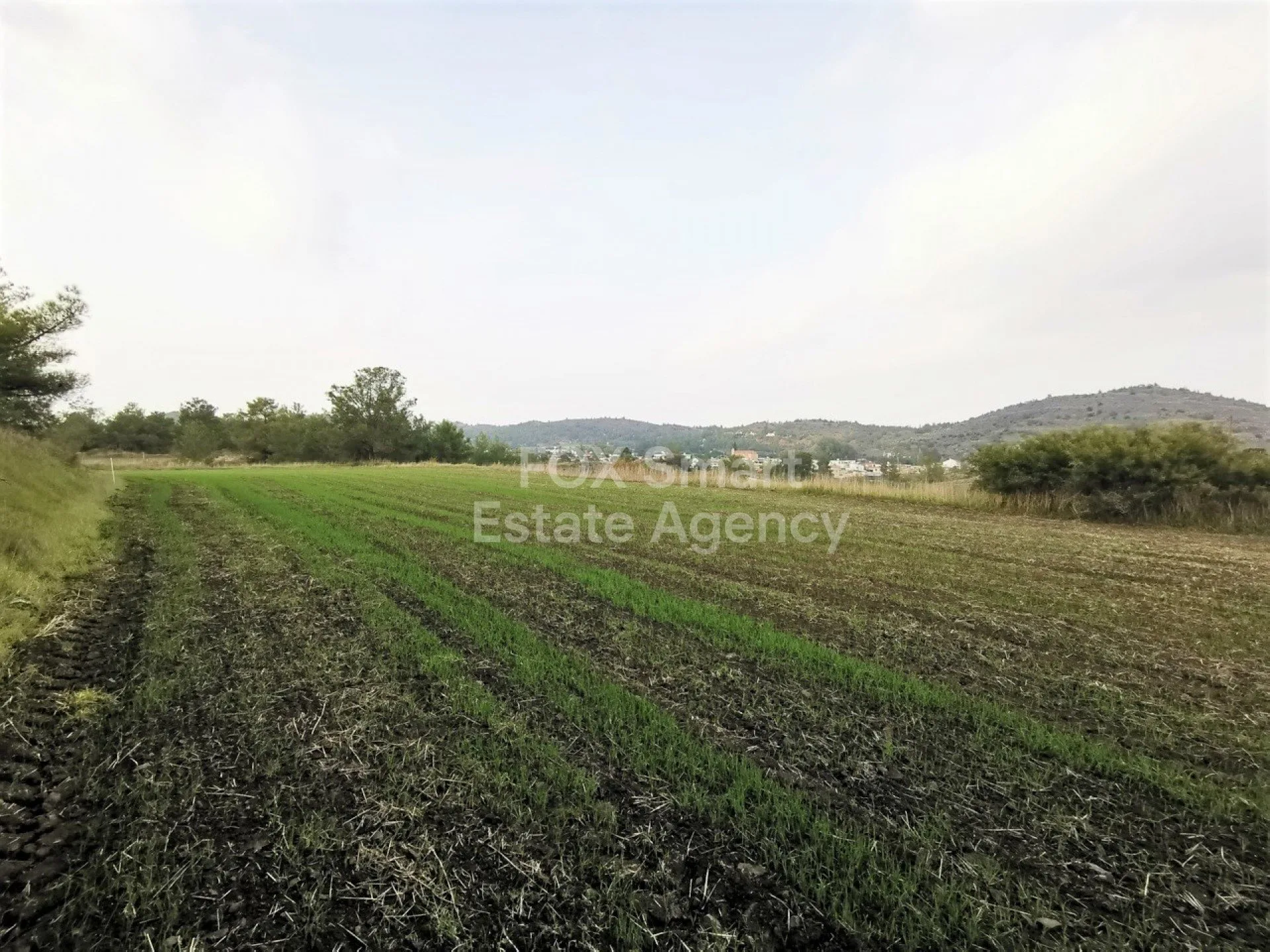 נכס 12534 סיה, ניקוסיה / L-117979