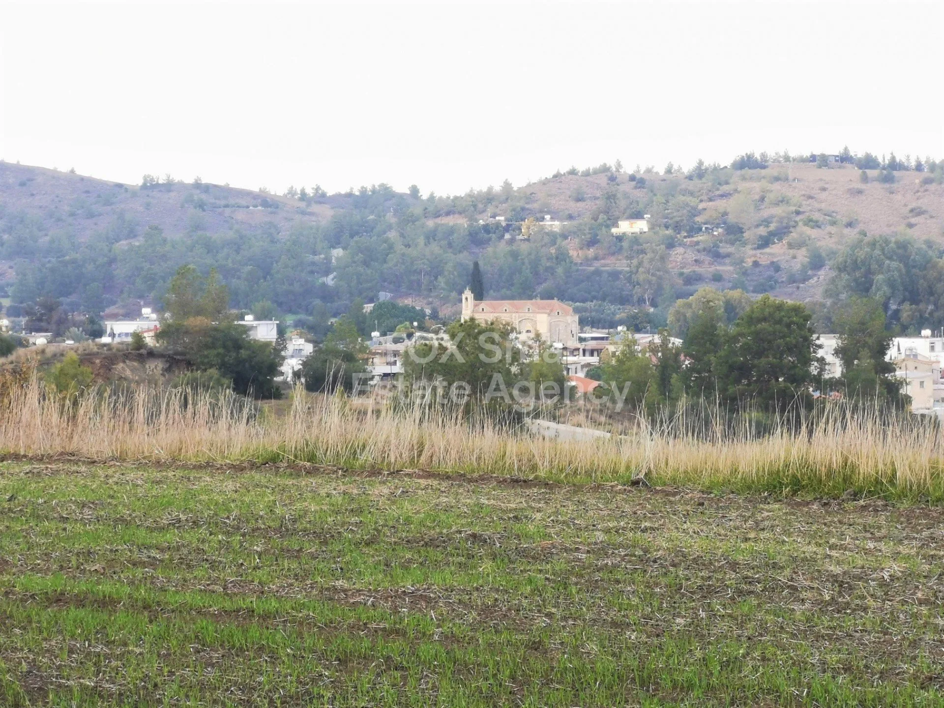 נכס 12534 סיה, ניקוסיה / L-117979