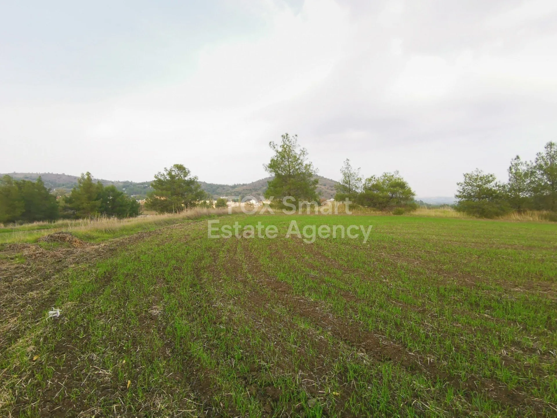 נכס 12534 סיה, ניקוסיה / L-117979