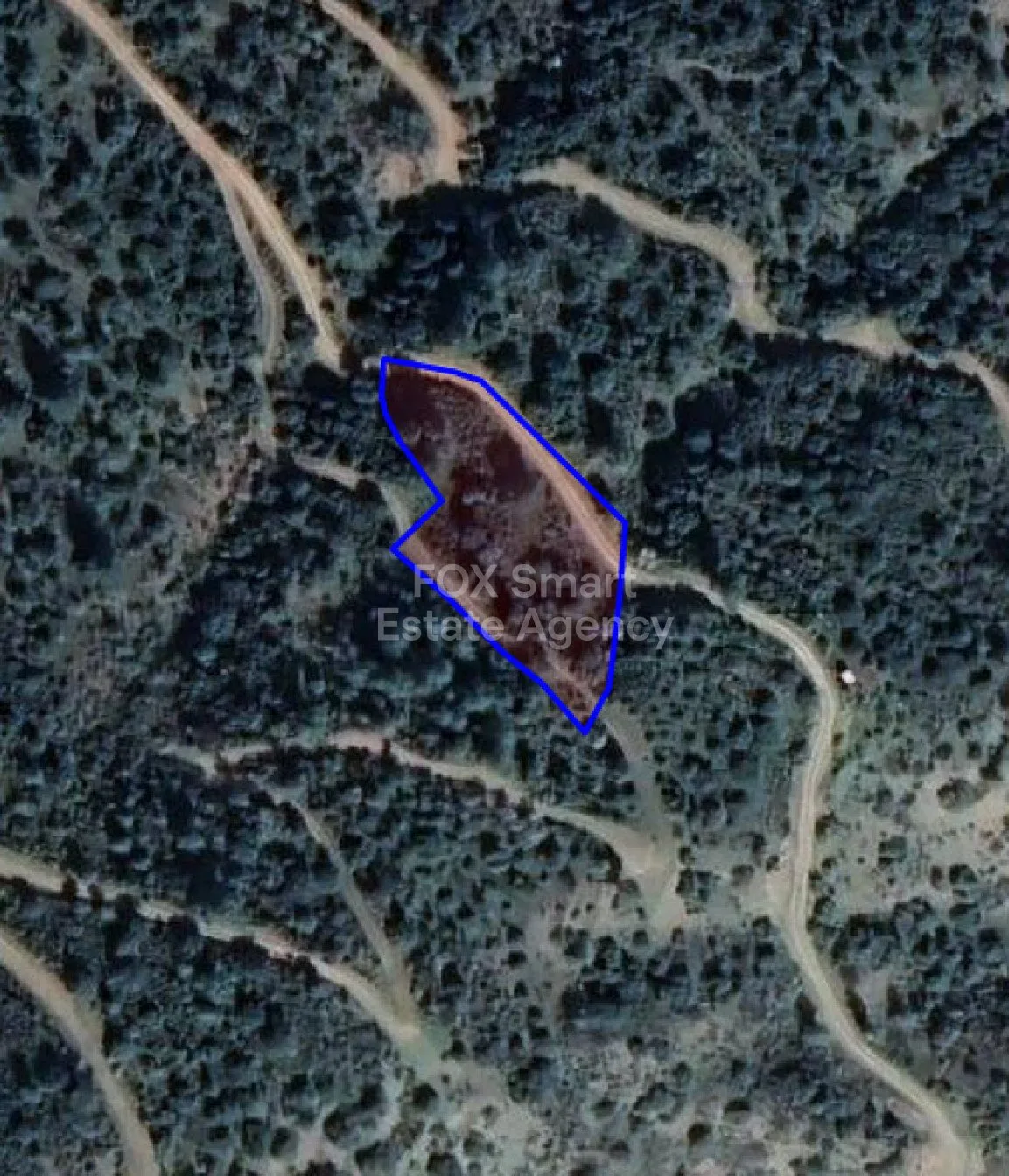 נכס 12542 קאלופאנאיוטיס, ניקוסיה / L-118156