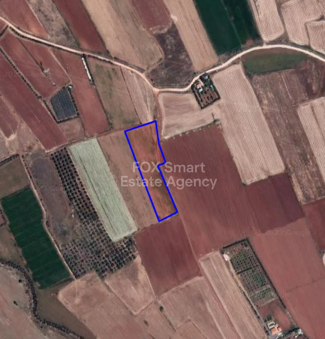 נכס 12550 פריסטרונה, ניקוסיה / L-118250