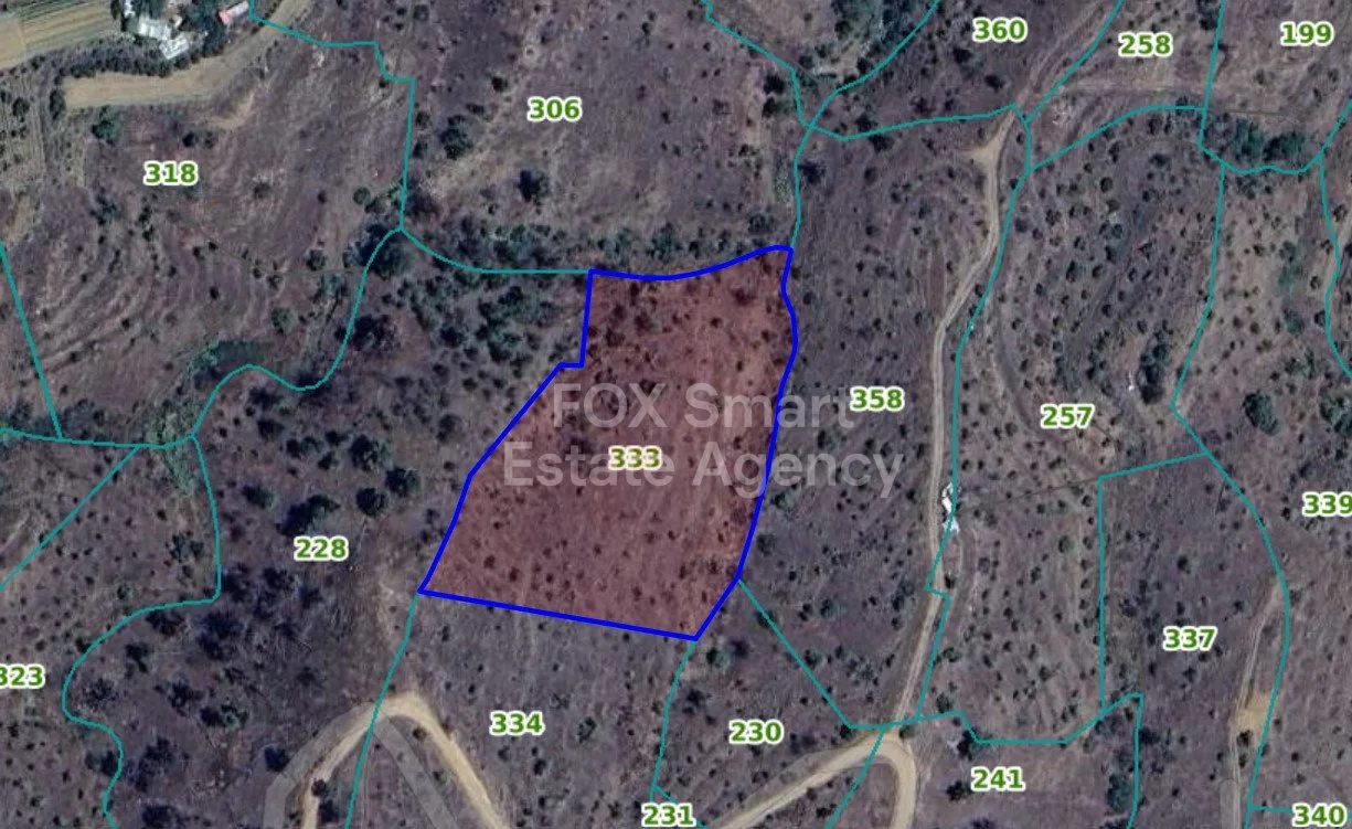 Immobile 10477 Platanistasa, Nicosia / L-99768