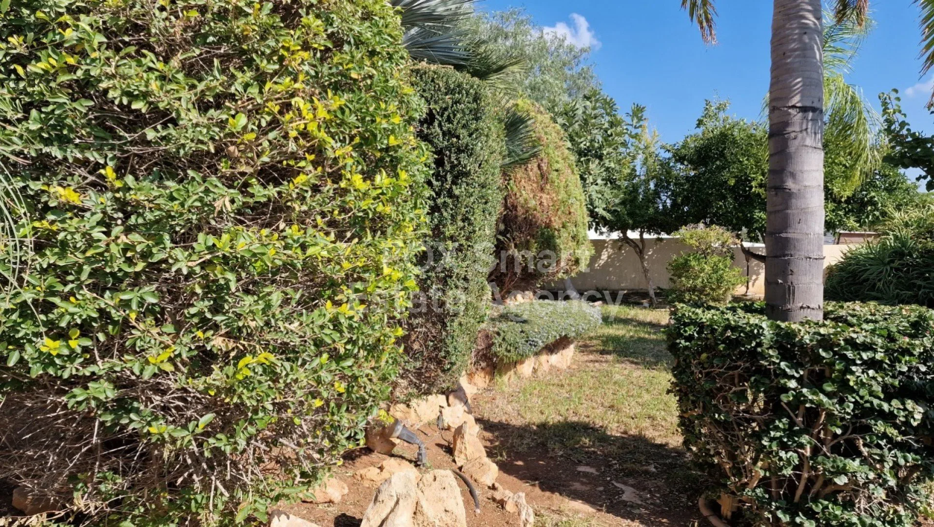 Bien immobilier 29592 Germasogeia, Limassol / LIM-PAF-10361 17