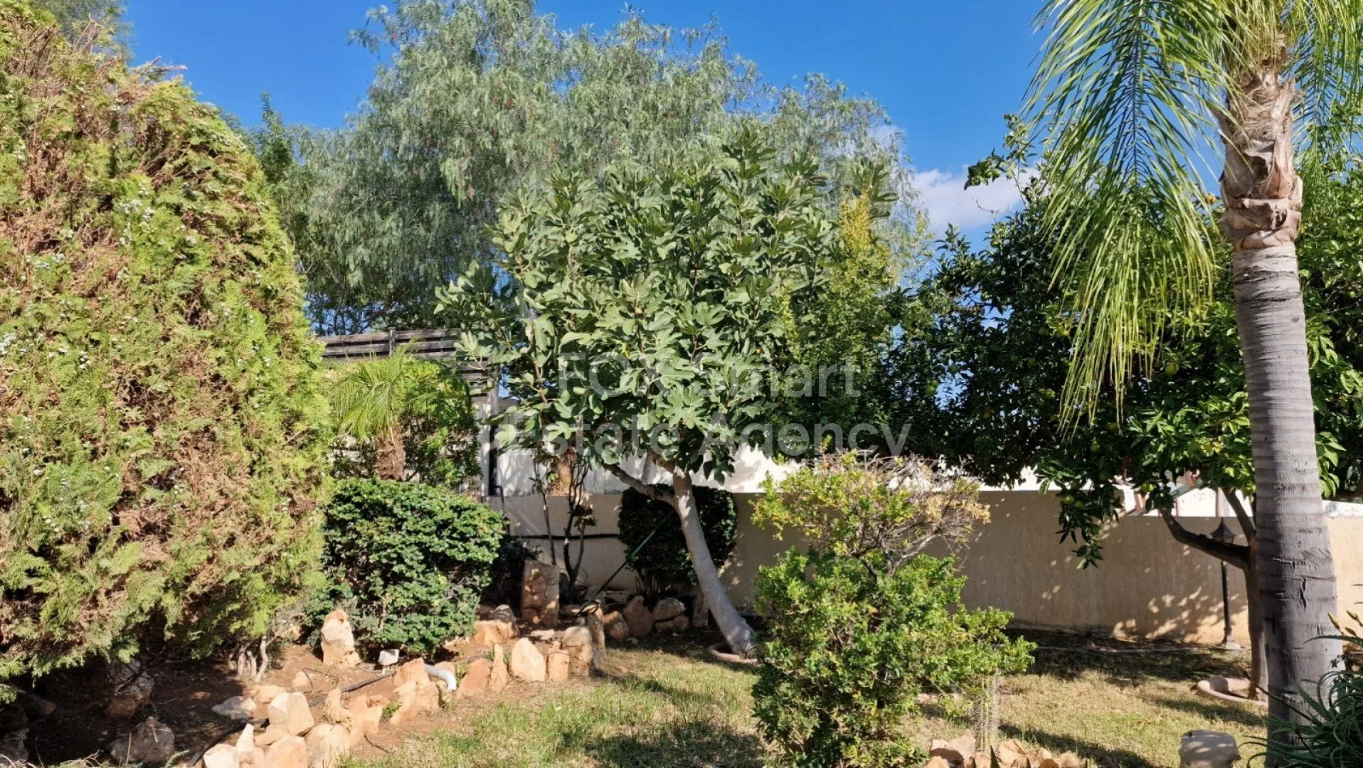 Bien immobilier 29592 Germasogeia, Limassol / LIM-PAF-10361 18
