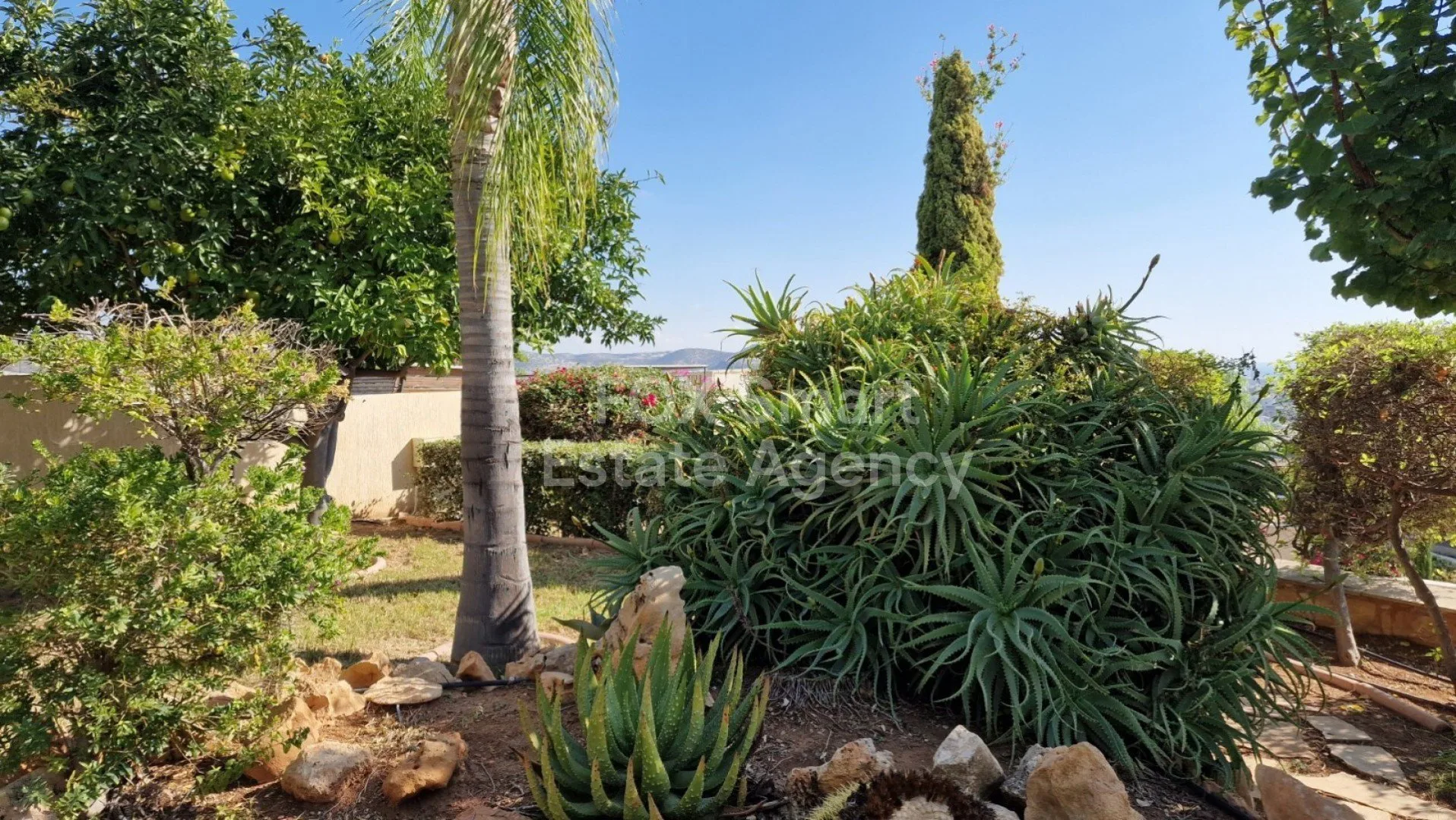 Bien immobilier 29592 Germasogeia, Limassol / LIM-PAF-10361 19