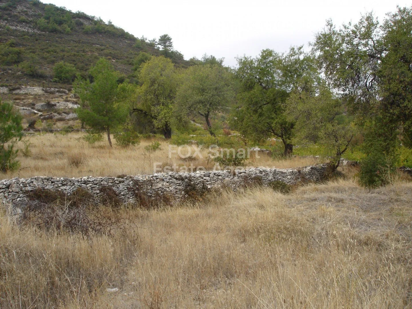 Propiedad 32054 Pera Pedi, Limassol / LIM-PAF-11415