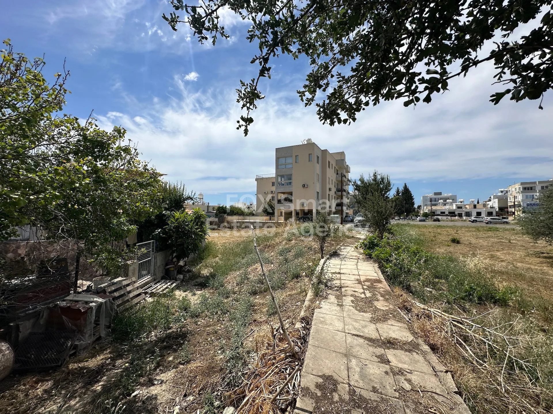 Bien immobilier 26116 Agios Theodoros, Paphos / LIM-PAF-11600 14