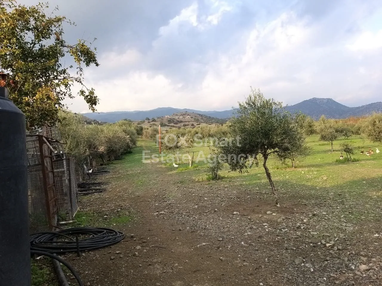 Immobilie 33960 Moni, Limassol / LIM-PAF-15723 14