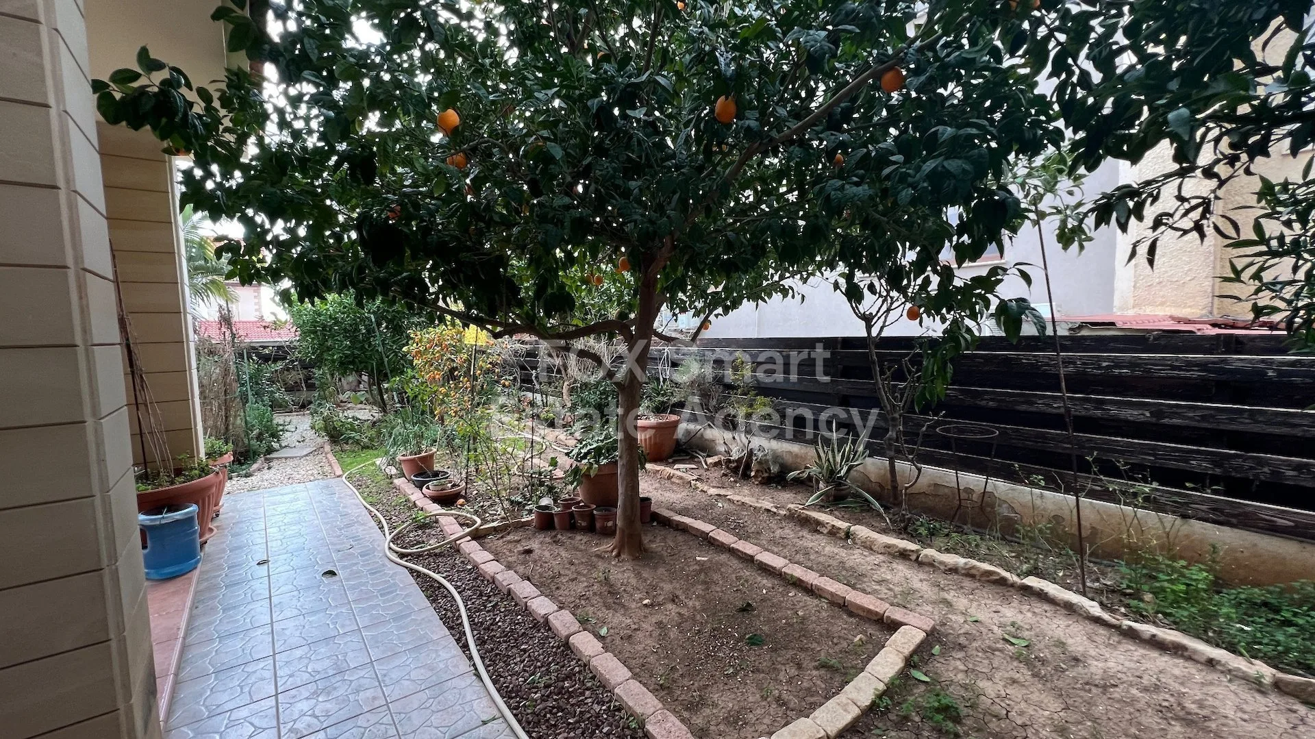 房产 31185 埃卡利, 利马索尔 / LIM-PAF-18037 25