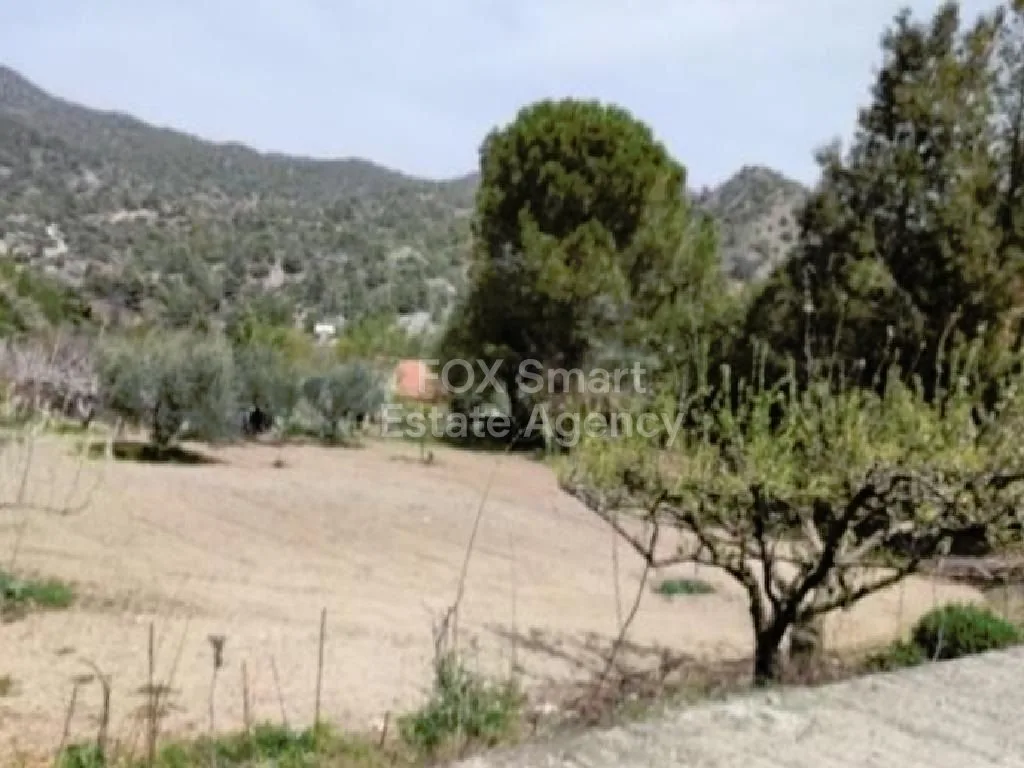 Property 31398 Agios Mamas, Limassol / LIM-PAF-18333